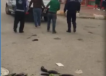 Seyyar satıcının arabasını kurtarma mücadelesi