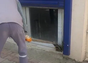 Sıcaklar Tavan Yaptı, Yılanlar Ortaya Çıkmaya Başladı