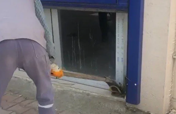Sıcaklar Tavan Yaptı, Yılanlar Ortaya Çıkmaya Başladı