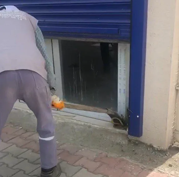 Sıcaklar Tavan Yaptı, Yılanlar Ortaya Çıkmaya Başladı