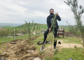 Si̇lvanda 9 Bi̇n Fi̇dan Toprakla Buluştu