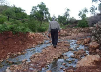 Si̇lvanda Mahalleli̇ni̇n Yol Çi̇lesi̇