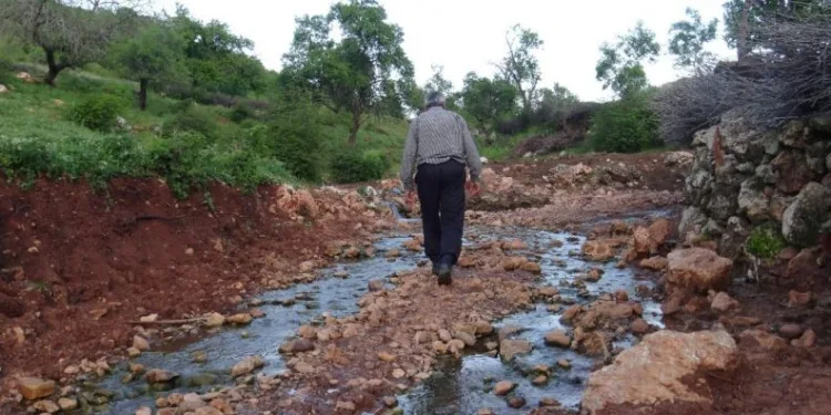 Si̇lvanda Mahalleli̇ni̇n Yol Çi̇lesi̇