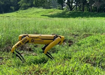 Koronavirüse karşı robot köpek