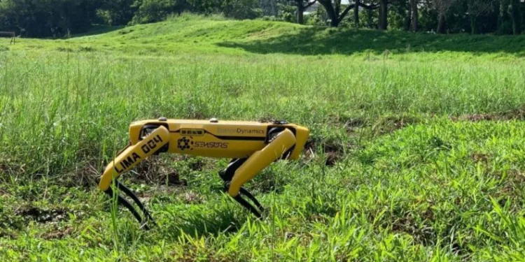 Koronavirüse karşı robot köpek