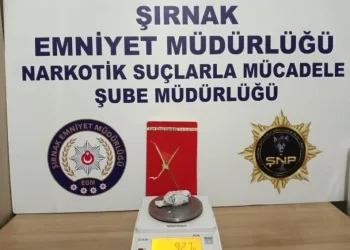 Şırnakta Kaçakçılık Operasyonu: 24 Gözaltı
