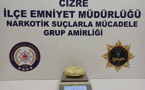 Şırnak’ta kaçakçılık operasyonu: 24 gözaltı
