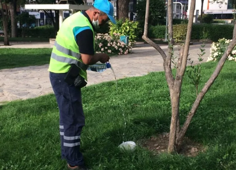 Sokak Hayvanları Unutulmadı