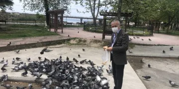 Sokak hayvanlarını gazeteciler besledi