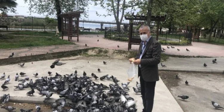 Sokak hayvanlarını gazeteciler besledi