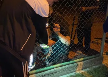 Spor Yaparken Bacağını Mazgala Sıkıştırdı, Yardıma İtfai̇ye Koştu