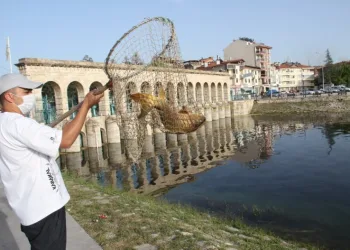 Sulama Kanalından Balık Kurtarma Operasyonu