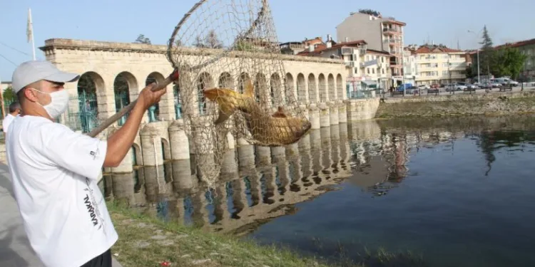Sulama Kanalından Balık Kurtarma Operasyonu