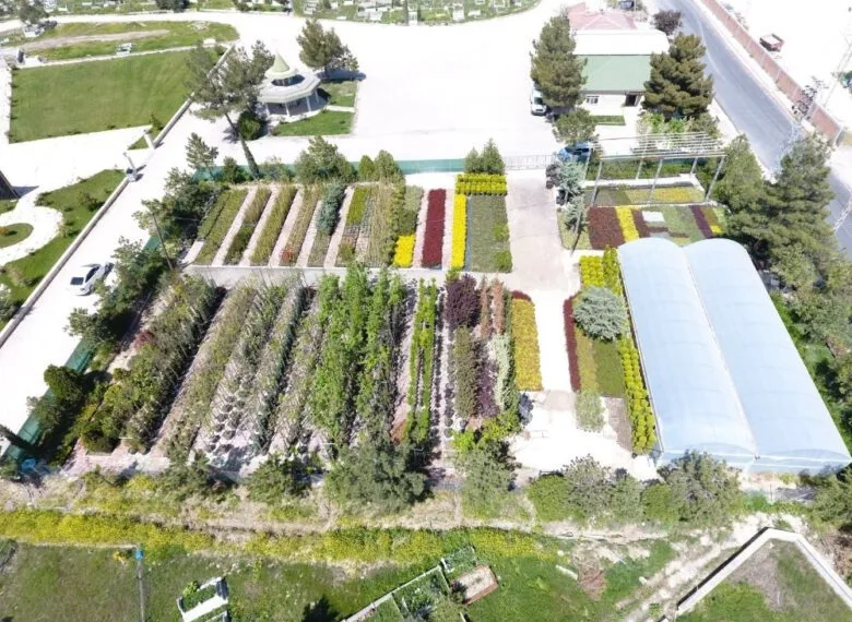 Suluova’da yılda 100 binin üzerinde bitki ve çiçek üretimi