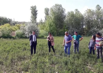 Tarımda 158 Mi̇lyon Avro Hi̇be Veri̇lecek