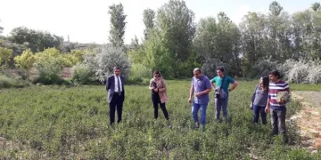 Tarımda 158 Mi̇lyon Avro Hi̇be Veri̇lecek