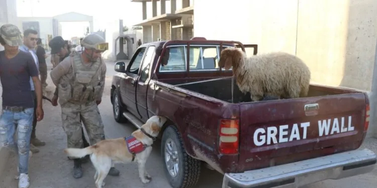 Telabyad Ve Resulaynda Drone Ve Bomba Arama Köpeği̇ Devri̇