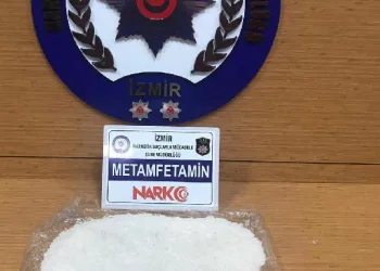 TIR’da uyuşturucuyla yakalanan 2 kişiye gözaltı