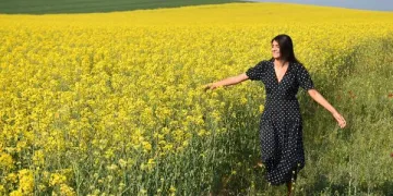 Trakya’yı sarıya boyayan ‘kanola’, tarlaları şenlendirdi