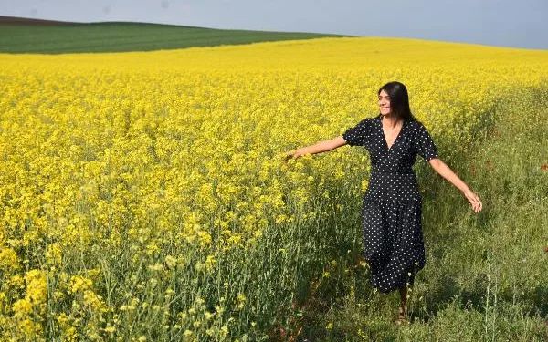 Trakya’yı sarıya boyayan ‘kanola’, tarlaları şenlendirdi