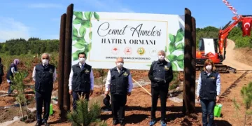 Sakarya’da Cennet Anneleri Hatıra Ormanı Oluşturuldu