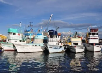 Bursa’da amatör avcı tekneleri için sınırlandırma