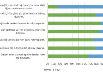 Uzak Eğitim Raporu açıklandı: İlkokul öğrencileri yüz yüze eğitimden yana