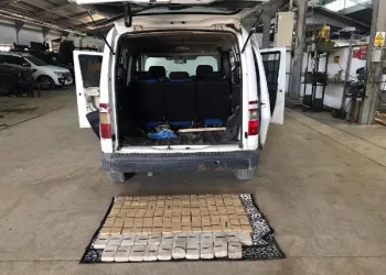 Van’da araçtaki 42 kilo eroini, ‘Rexo’ buldu