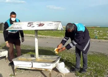 Van’da, sokak hayvanları unutulmadı