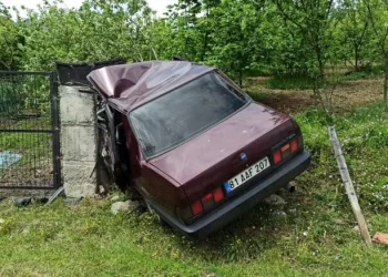 Virajı alamayan sürücü fındık bahçesine girdi