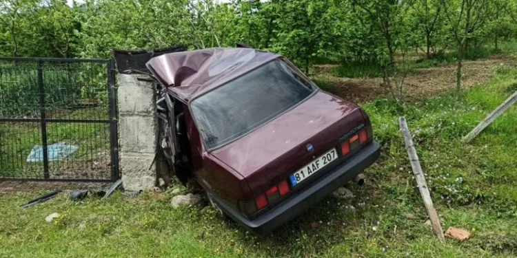 Virajı alamayan sürücü fındık bahçesine girdi