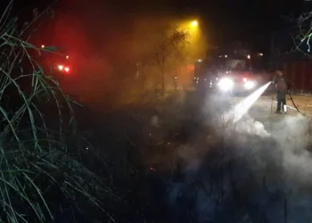 Yangında Leylekler Duman Altında Kaldı