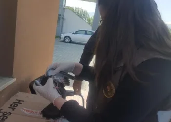 Yaralı Güverci̇n Tedavi̇ Altına Alındı