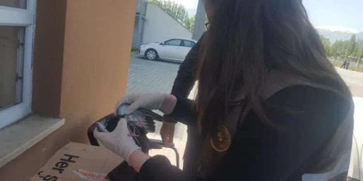 Yaralı Güverci̇n Tedavi̇ Altına Alındı