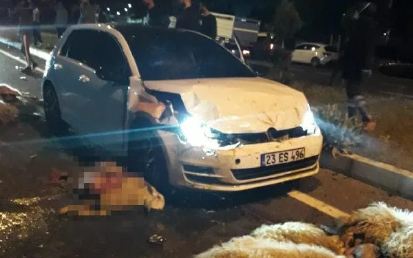 Yarışan otomobiller sürüye çarptı: 1 yaralı, 30 koyun telef oldu