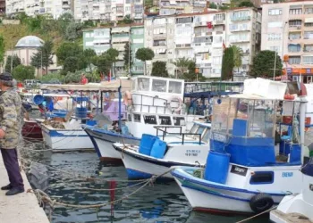 Gemlik Körfezi’nde yasak denizden deliniyor!