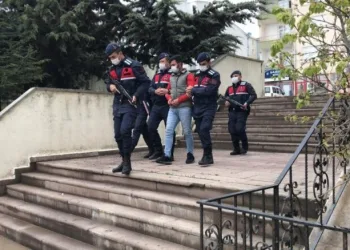 Yavru eşeği kangal köpeklerine parçalatan şahıs yakalandı