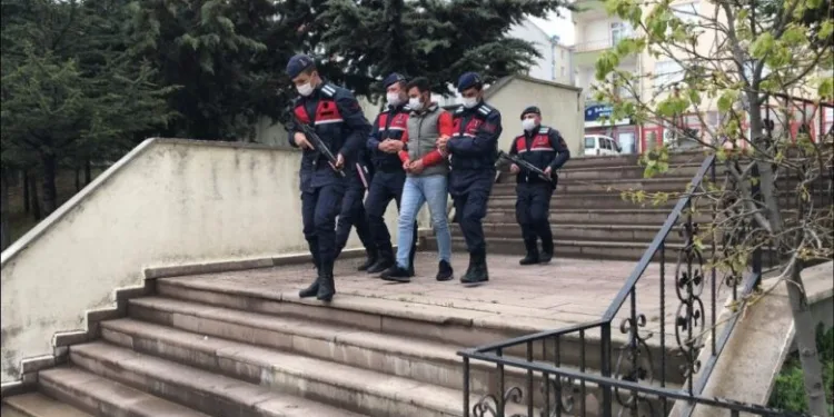 Yavru eşeği kangal köpeklerine parçalatan şahıs yakalandı