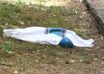 Site bahçesinde oyuncak sanılan bebek ölü bulundu