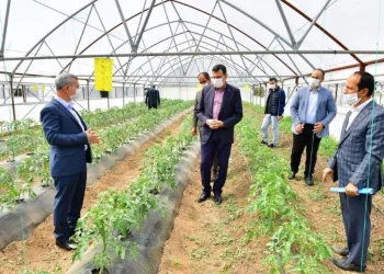 Yeşilyurt’ta Meyve Kurutma ve Kükürtleme Tesisi kurulacak