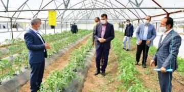 Yeşilyurt’ta Meyve Kurutma ve Kükürtleme Tesisi kurulacak