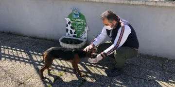 Yıldırım’da  Sokak Hayvanlarına Şefkat