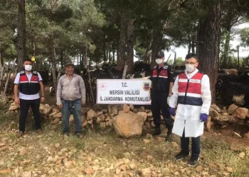 Ziyarete gelen komşunun hayvanlarını çalan şüpheli ve iki arkadaşı yakalandı