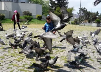 Zonguldakta mi̇ni̇kler parklara akın etti̇