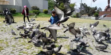 Zonguldakta mi̇ni̇kler parklara akın etti̇