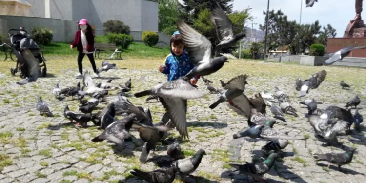 Zonguldakta mi̇ni̇kler parklara akın etti̇
