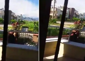 Sokak hayvanlarını besleyen yaşlı kadına tehditler yağdırdı