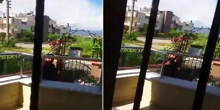 Sokak hayvanlarını besleyen yaşlı kadına tehditler yağdırdı