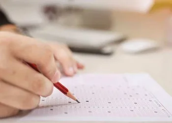 2020 LGS Haziran ayı örnek soruları