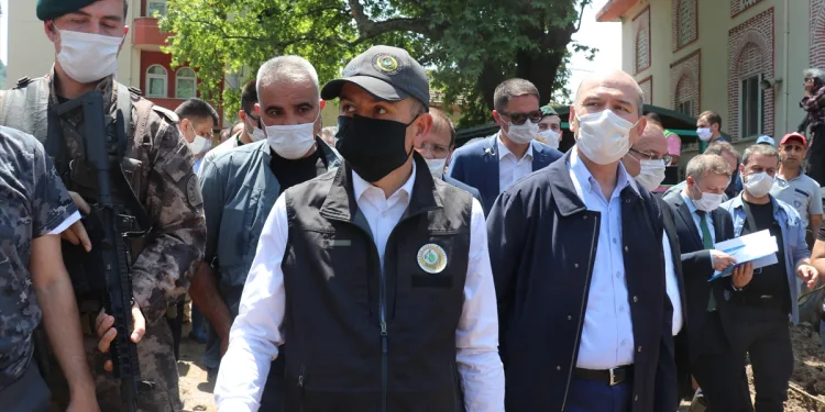 Tarım Bakanı Pakdemirli: 25 bin dekar arazi selden etkilendi